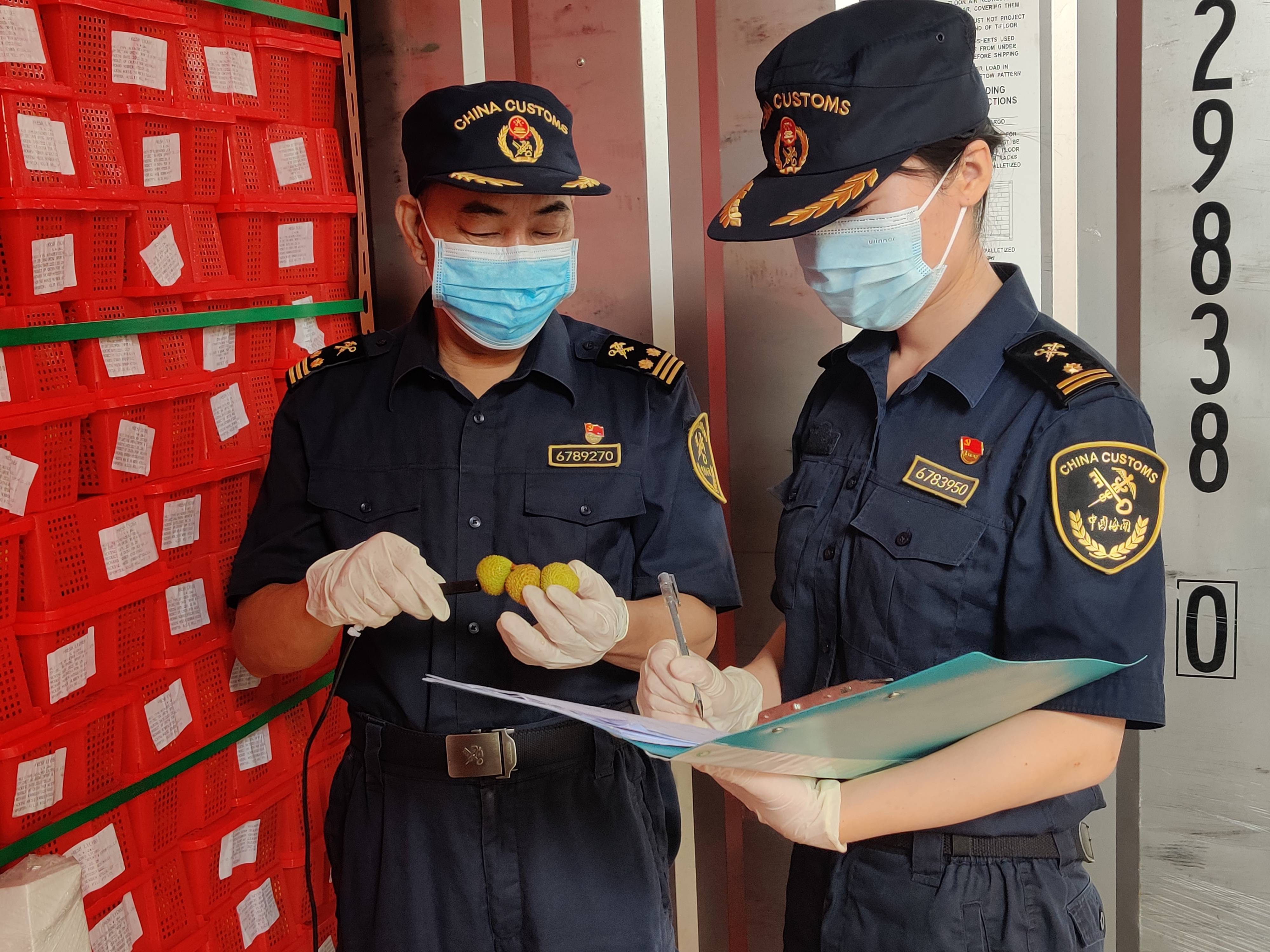 湛江海关:服务乡村振兴再发"荔"