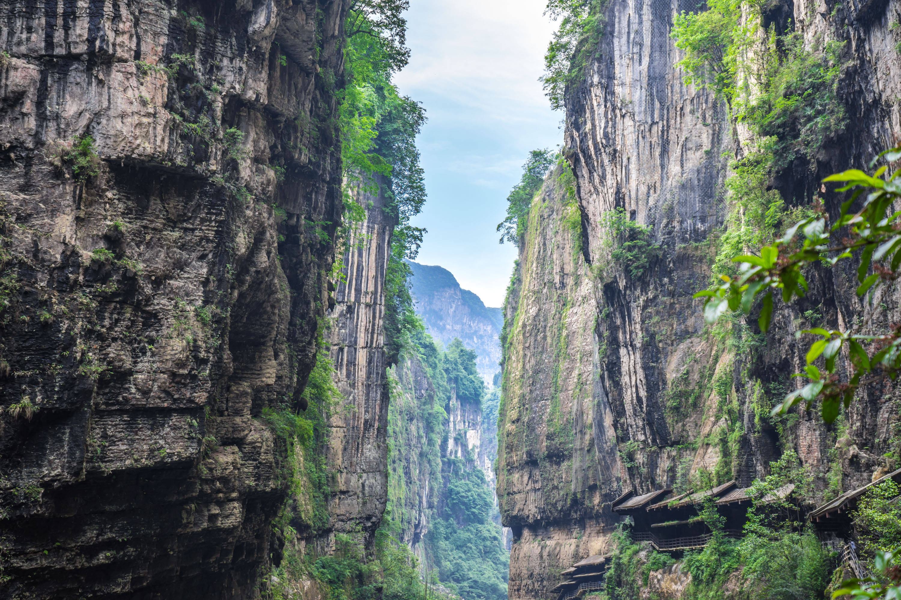 第一次来恩施怎么玩?峡谷看山,清江戏水,探秘湖北最仙的地方