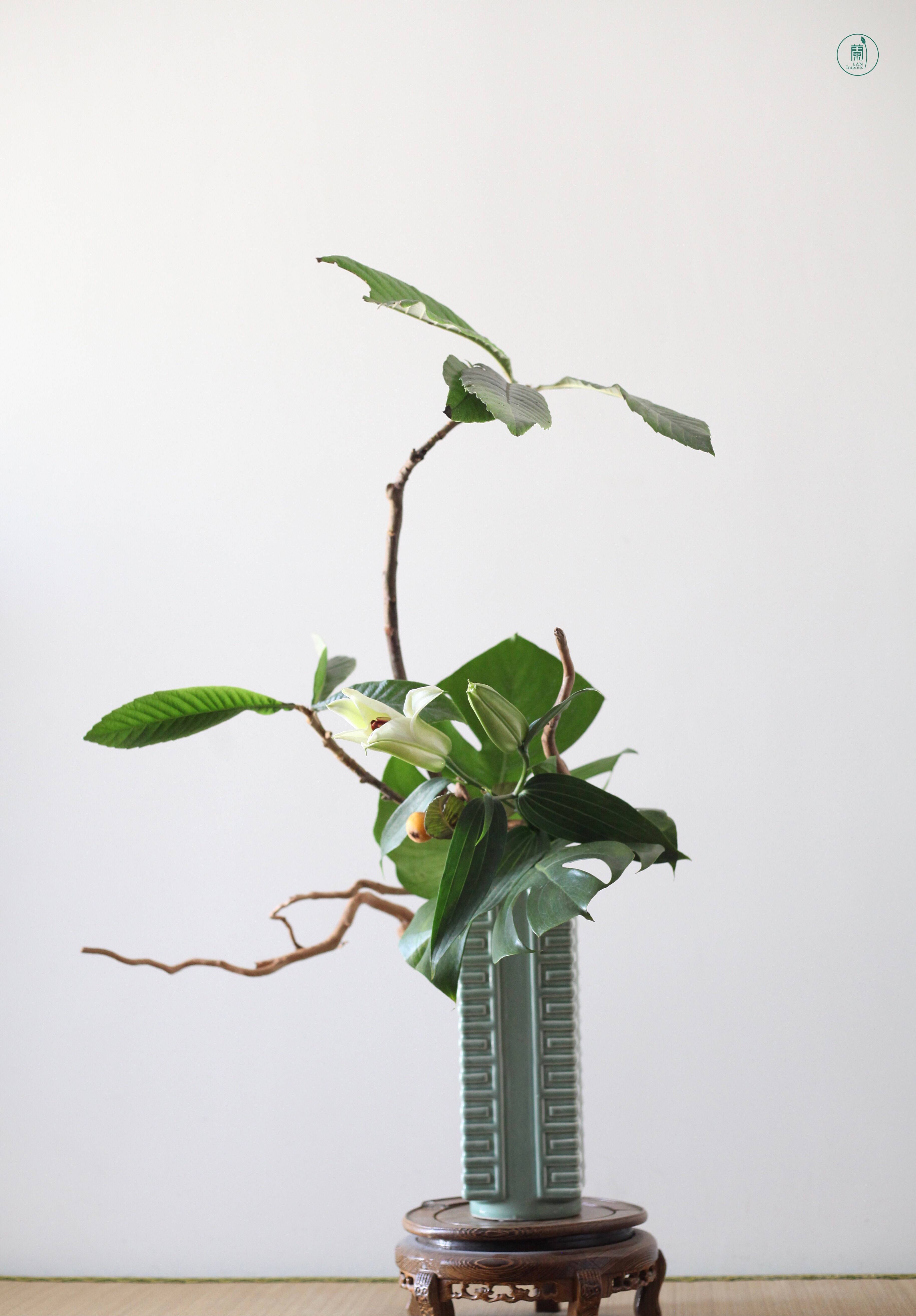 西安小原流花道教室|初夏