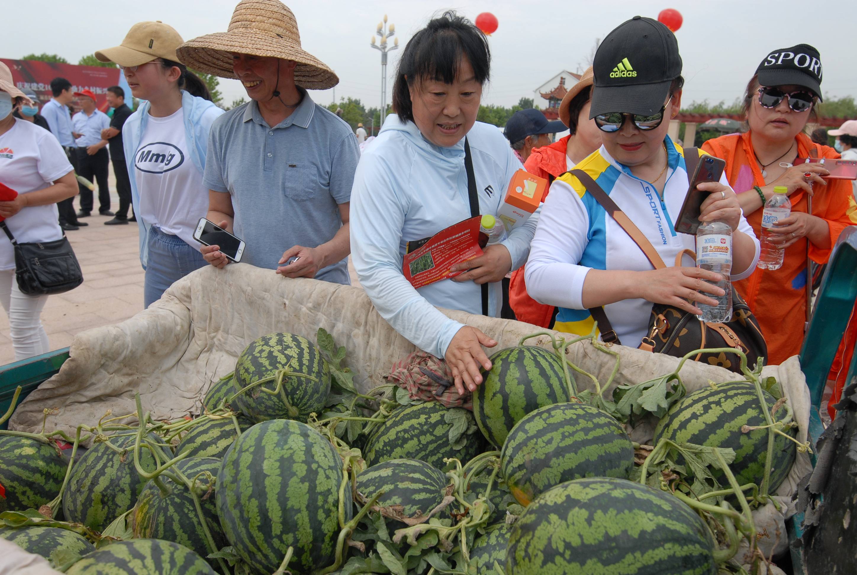 山东即墨西瓜节庆丰收
