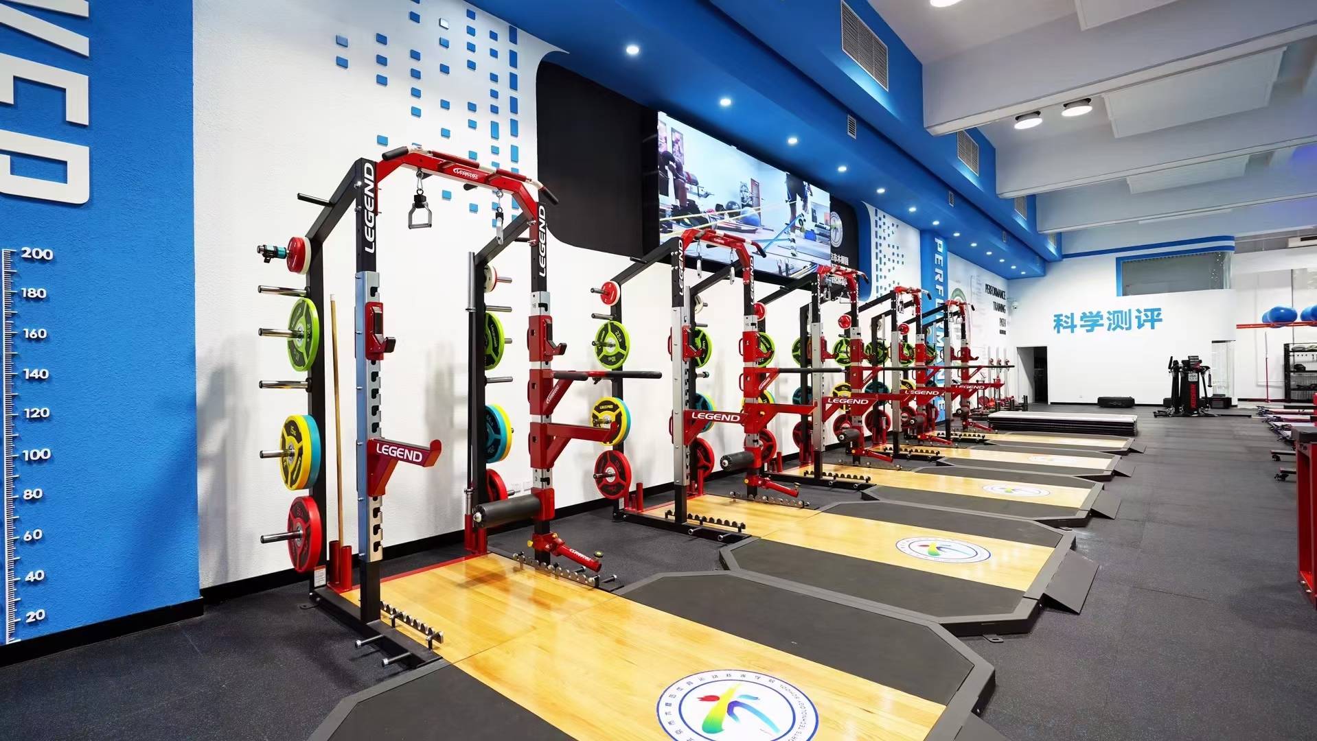 体能训练馆塑胶地面详解