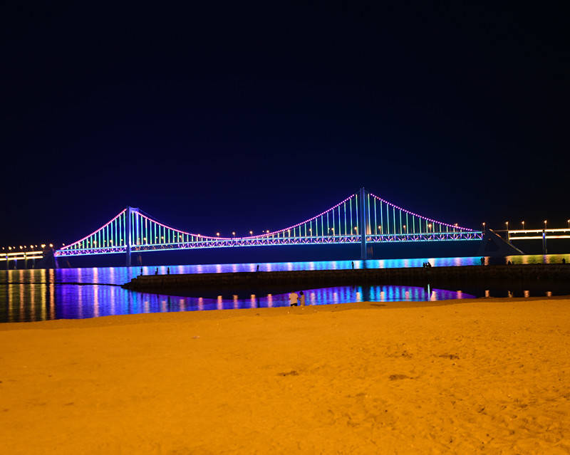 大连海边夜景图片