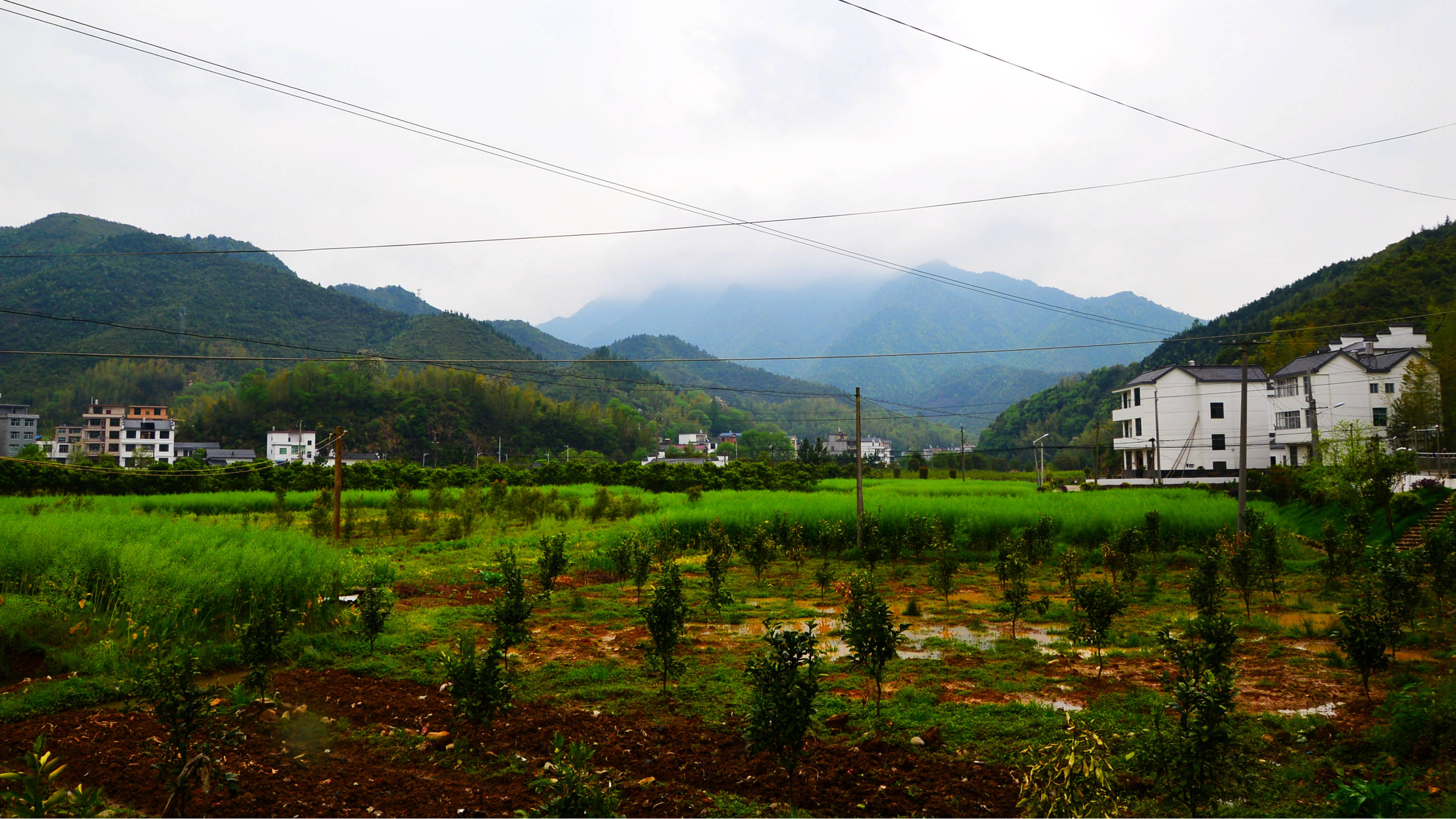 相伴是最美的承诺拍在上饶玉山县南山乡王坊村溪西淤