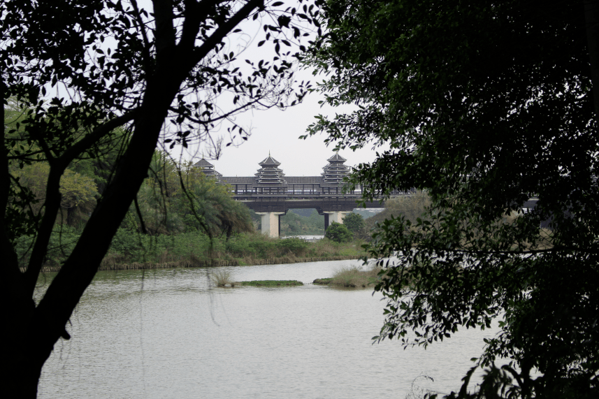 南宁市西乡塘区的湿地公园——明月湖相思湖公园