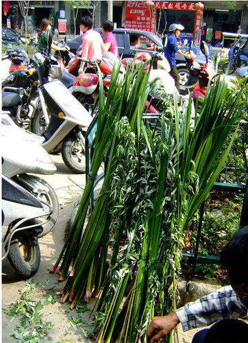 主要材料是糯米,馅料,用箬叶(或柊叶,簕古子叶)包裹而成,形状多样,有