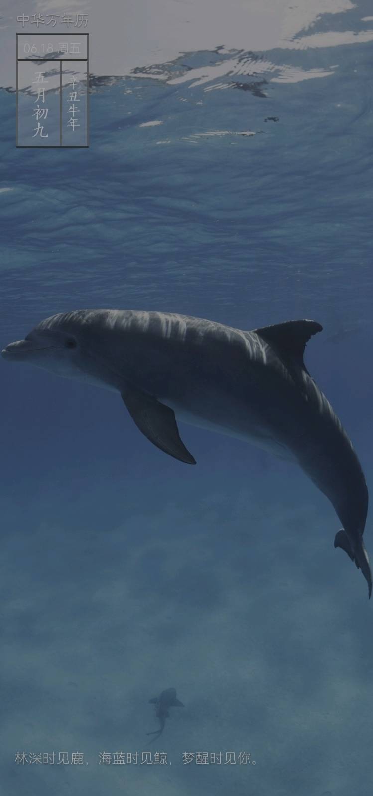 新丝路阅读;2021年06月18日