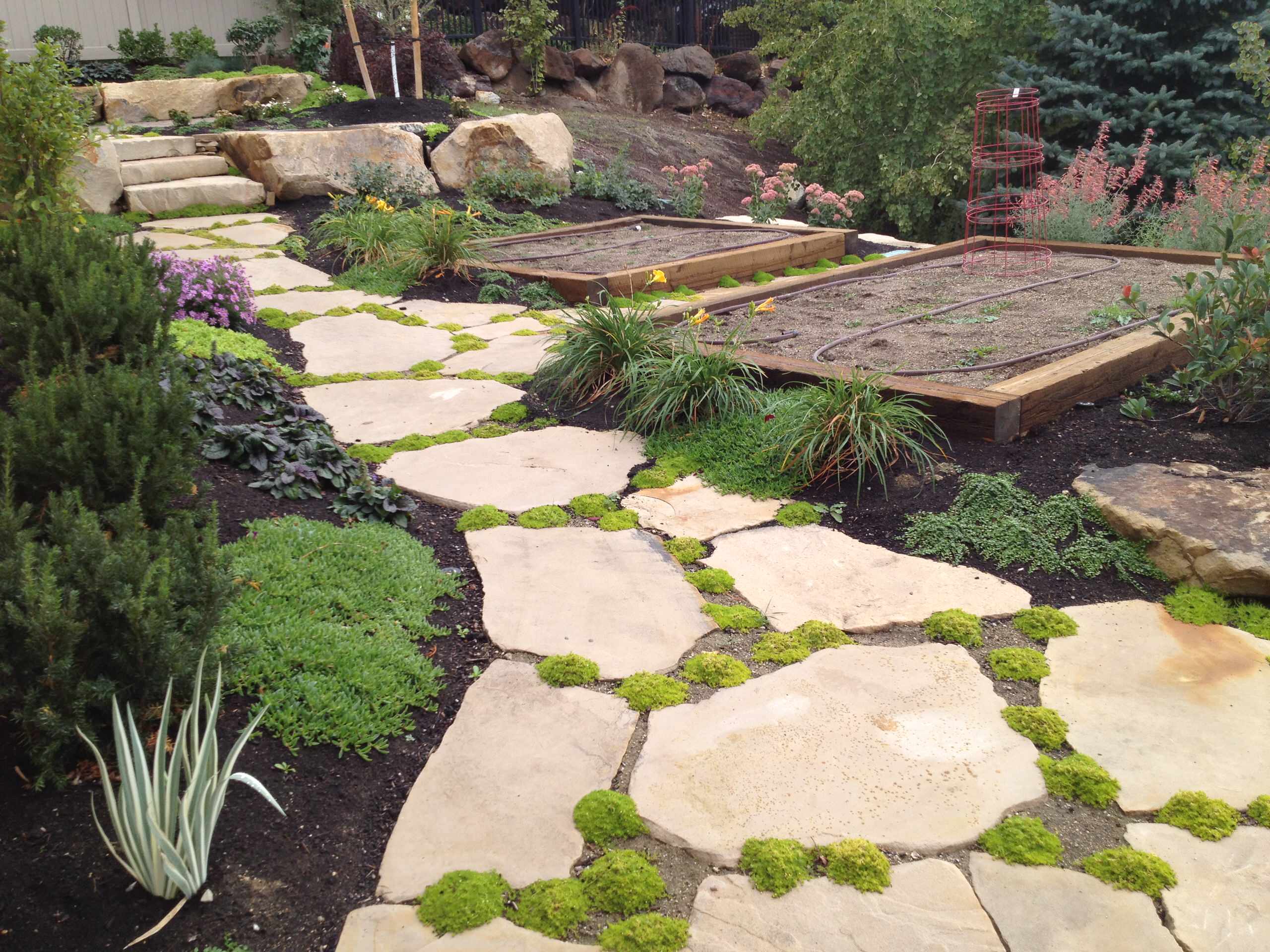 上,瓦檐边,盆栽里,墙缝中,在不起眼的角落,静静开放着~如果有一方庭院