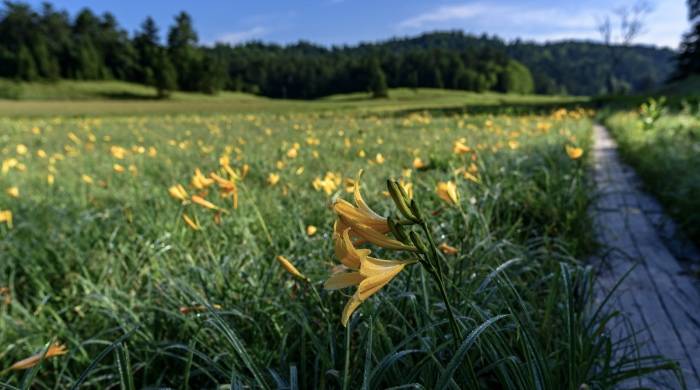 厨电企业除了内生性的增长，还要外延式和并购式重拳出击！-家电圈官网