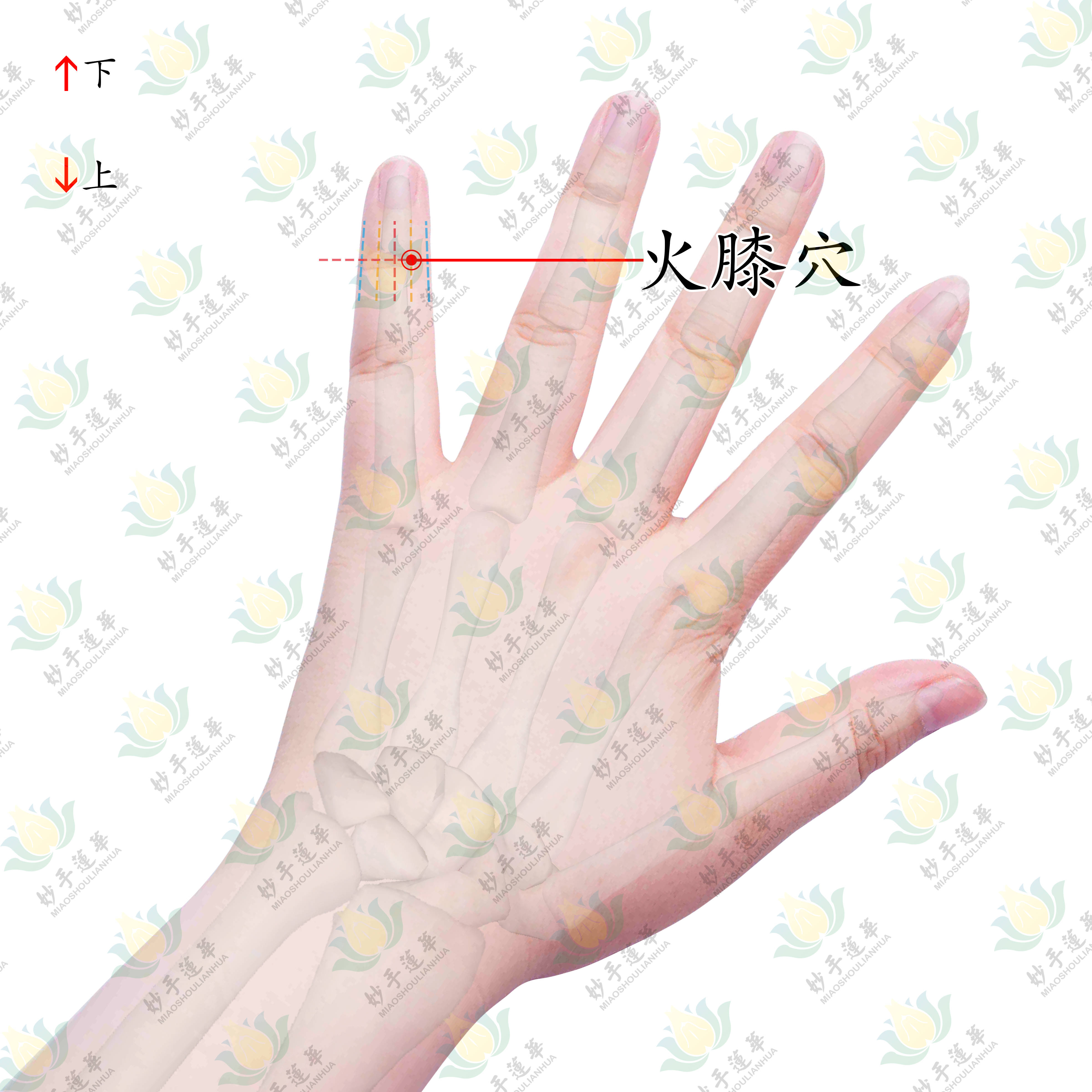 勾勾小拇指发现消肿止痛的火膝穴