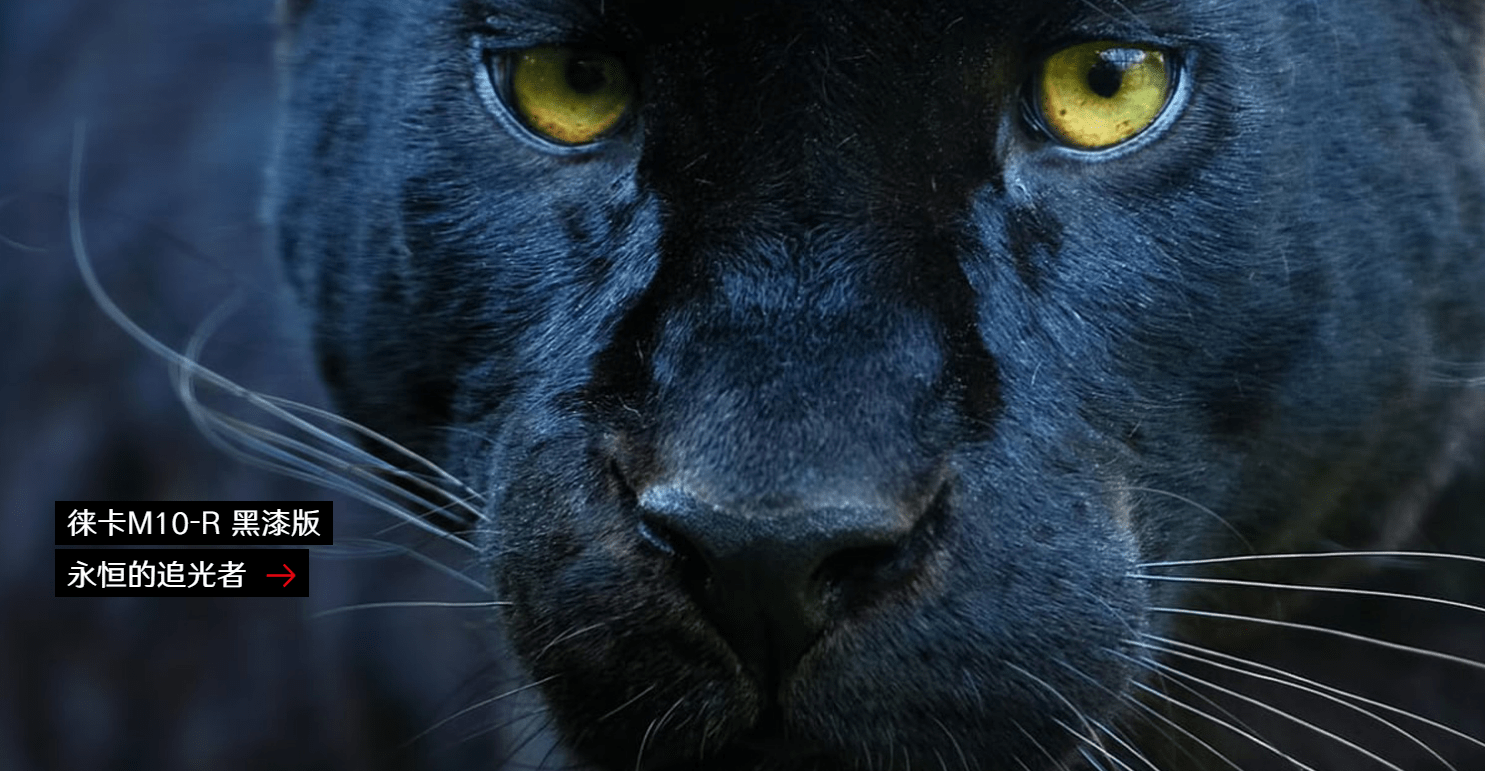 徕卡m10-r现推出黑漆特别设计版_相机