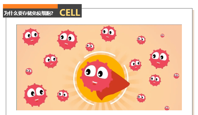为健康减轻烦恼免疫细胞储存为什么可以做到