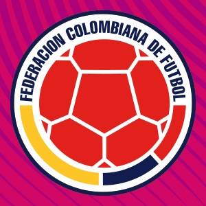 哥伦比亚足协：就与巴西比赛中的争议判罚提起上诉_主裁判