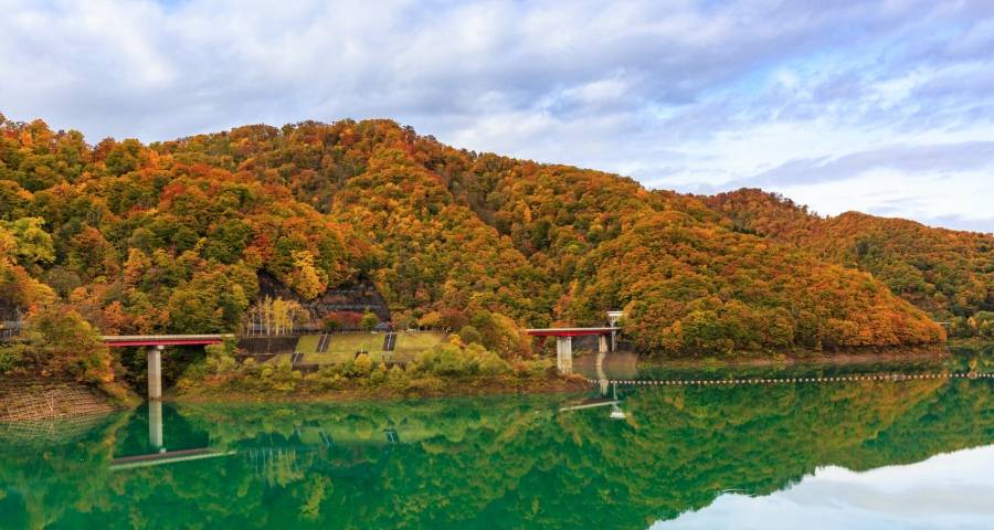 最近家电厂商和市场都被浮躁害苦了-家电圈官网