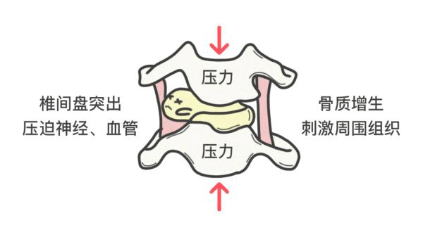 双手|你知道吗？每个人的身体都住着7个“葫芦娃”