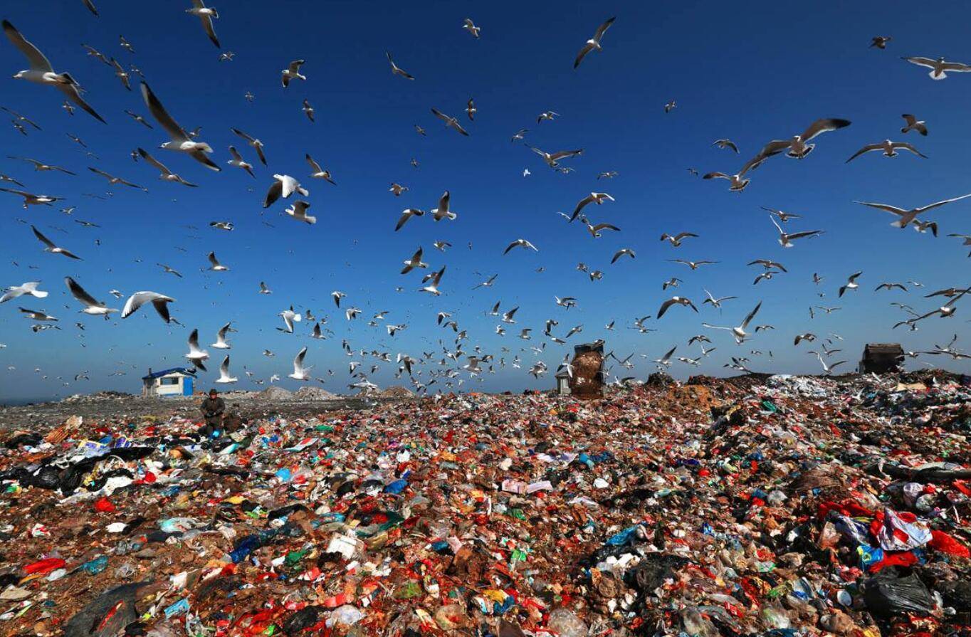 生物垃圾除臭剂--除臭"小能手"_臭味