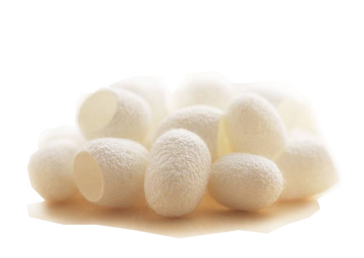 水解蚕丝的护肤功效