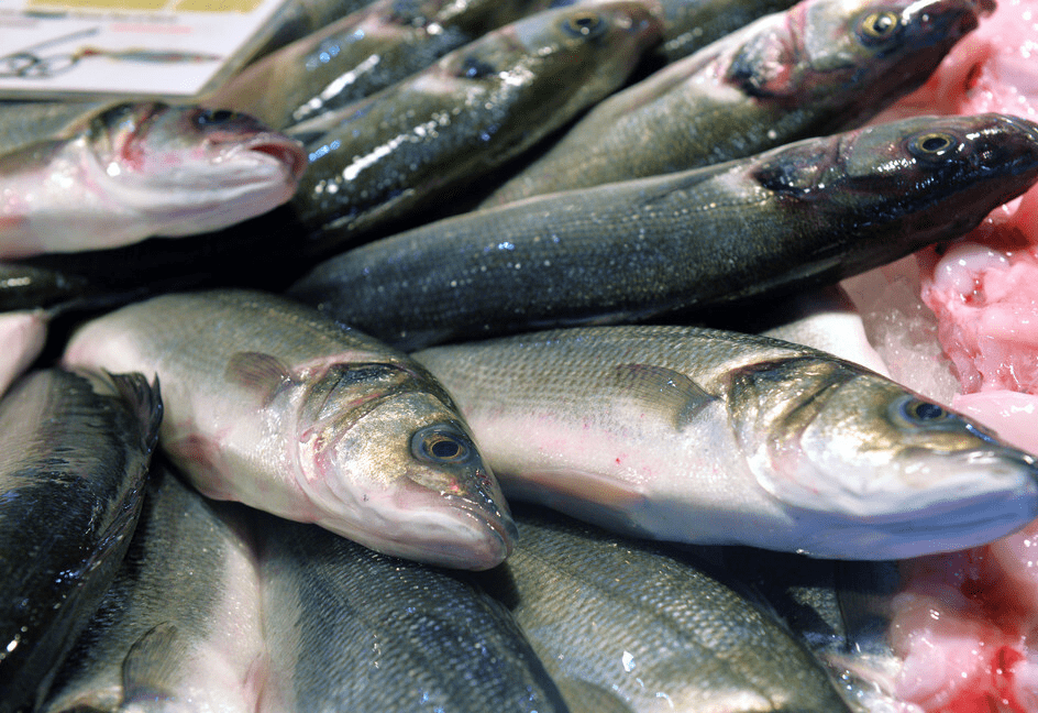 夏季吃鱼,专挑6种"野生鱼",肉嫩刺少营养高,老渔民夸你懂吃