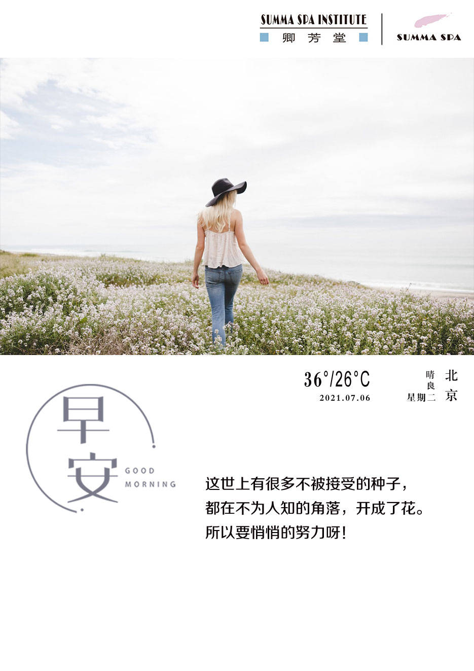 2300fefef6ae43a783eba40d71adc95d.jpeg