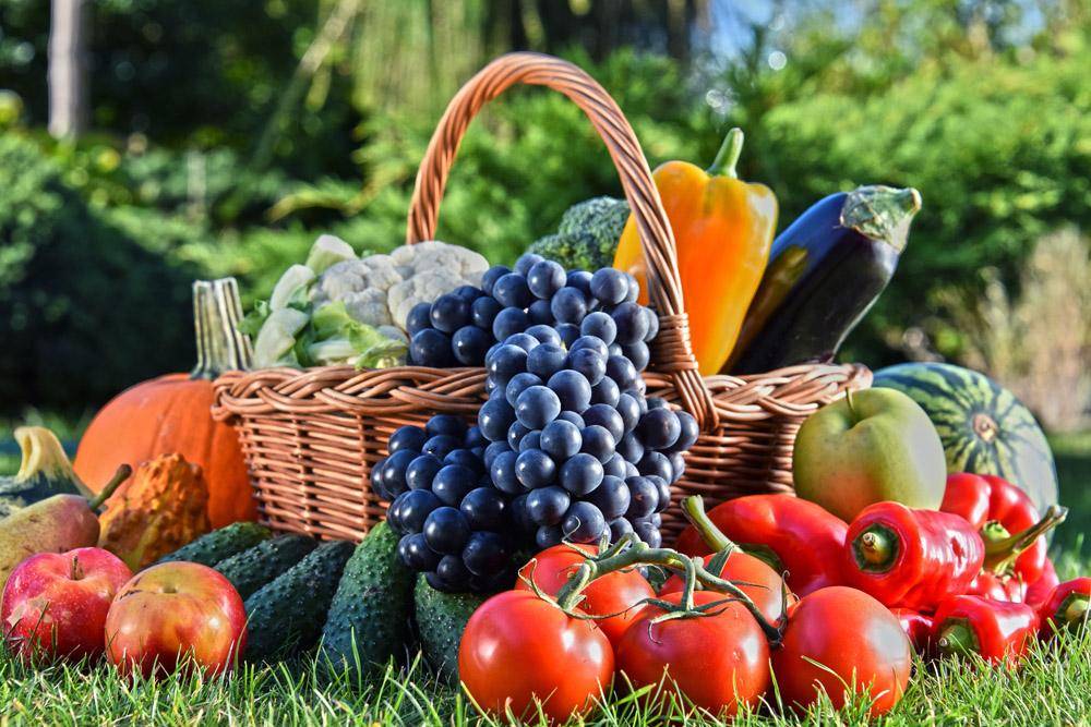 过敏性|什么食物对过敏性紫癜肾炎患者有好处呢?