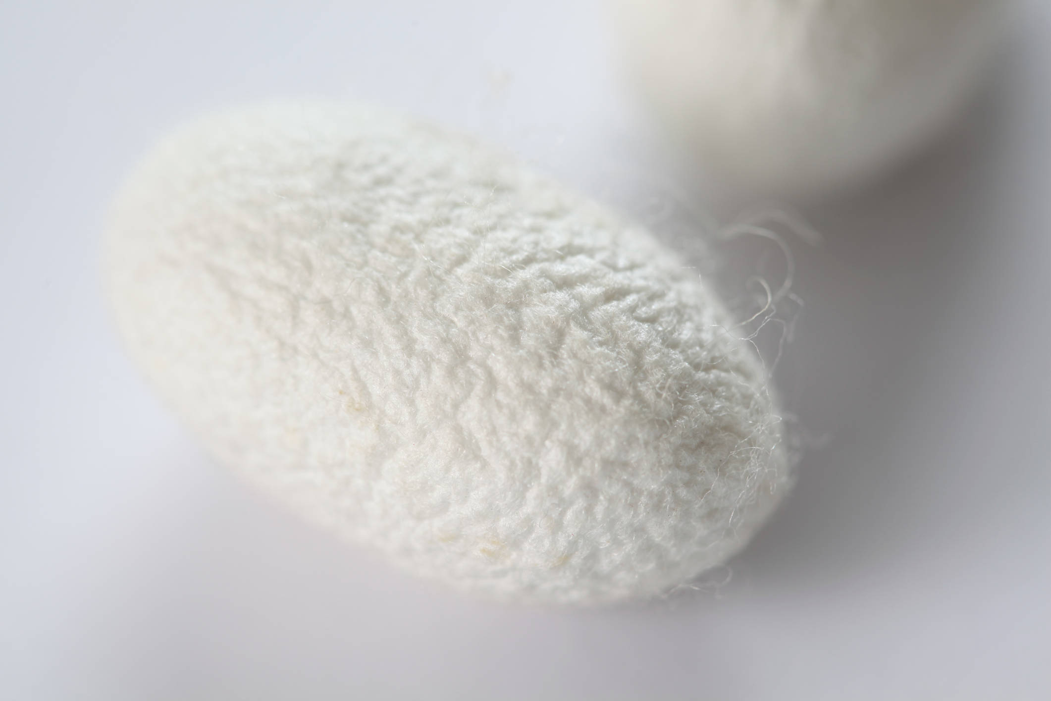 蚕桑还能用来做什么?_蚕丝