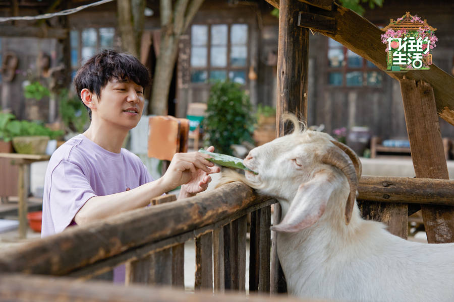 治愈|《向往的生活》第五季向往的图书馆开业 刘晓邑木偶戏治愈暖心