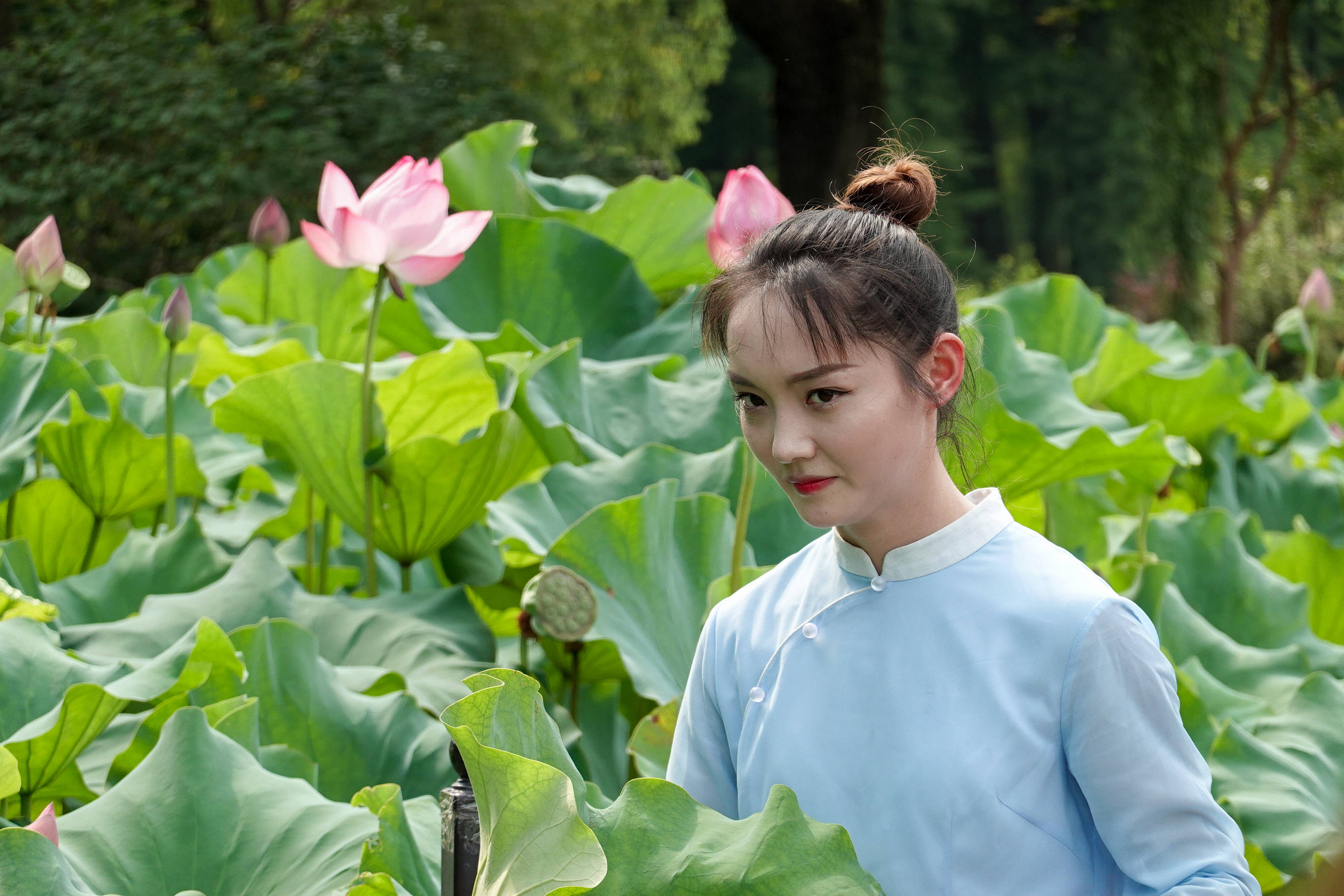 又到一年盛夏赏花必去鼋头渚荷花节