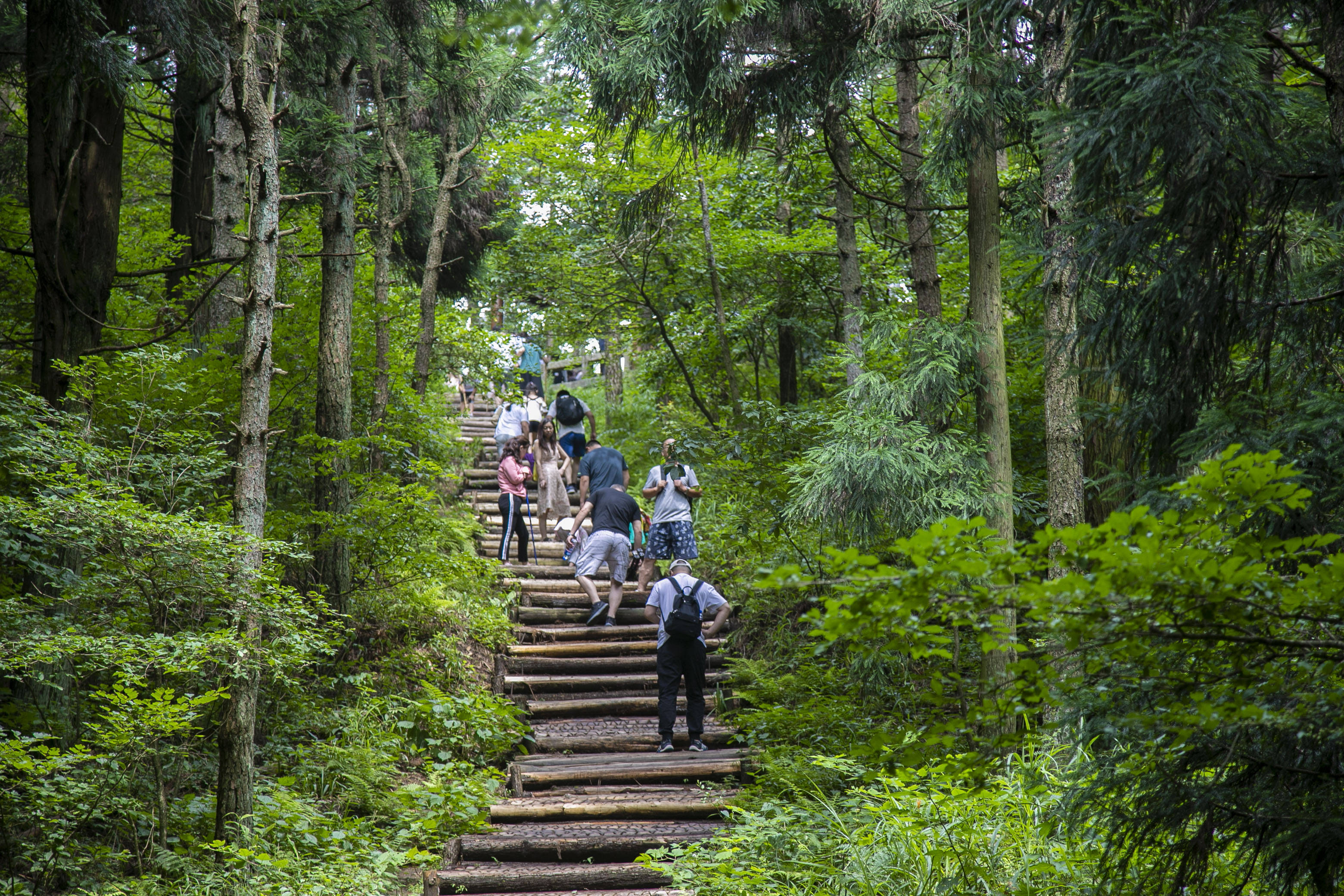 湖北适合夏日避暑宝藏小城登山玩水过一个25的夏天