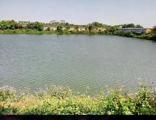 鱼塘水体浑浊的原因,不知道的你快来看看吧!_池塘