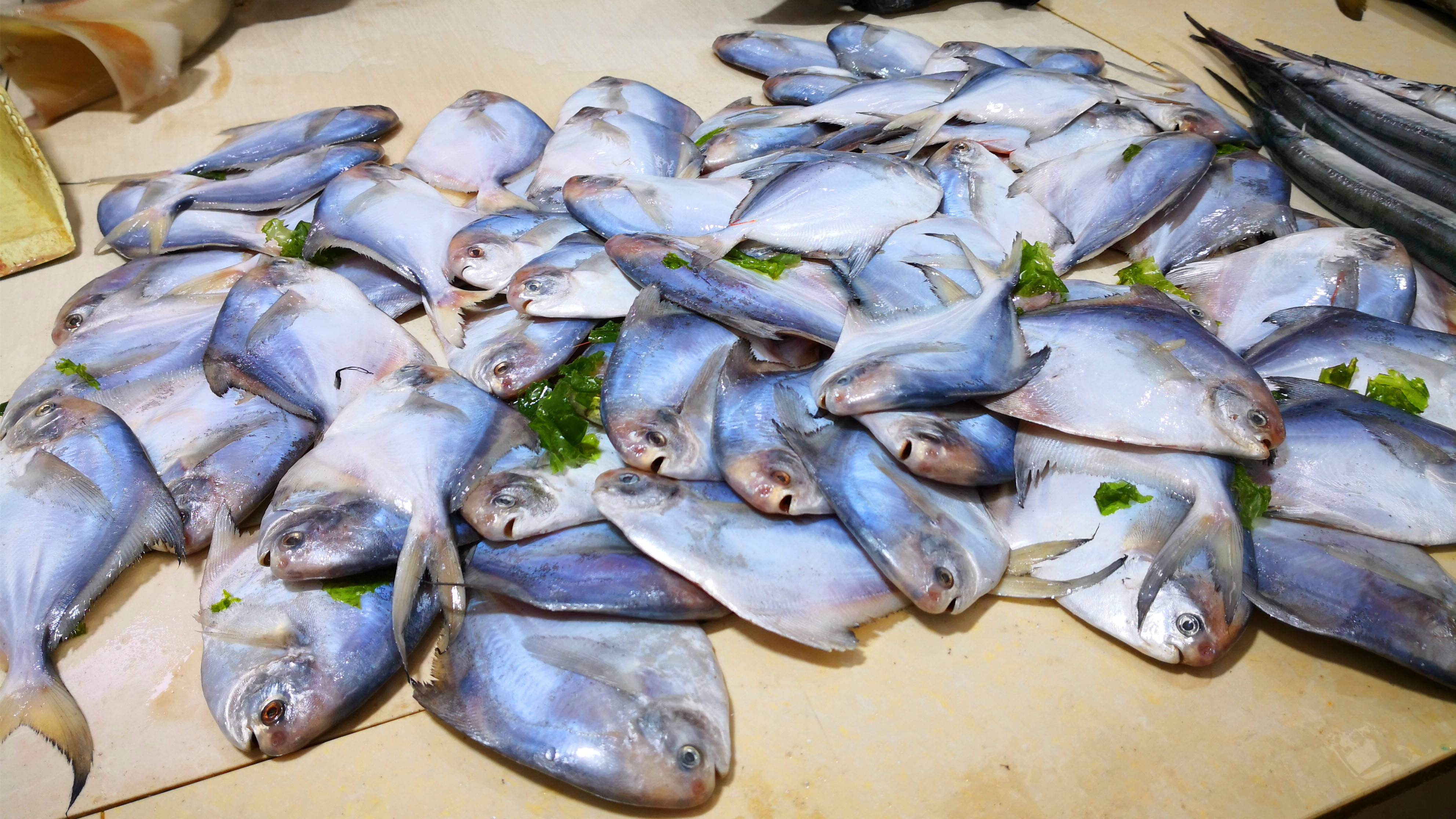 推荐食谱:【酱香鲳鱼】新鲜的鲳鱼去掉内脏,鱼鳃,剪掉鱼鳍和鱼尾巴,再