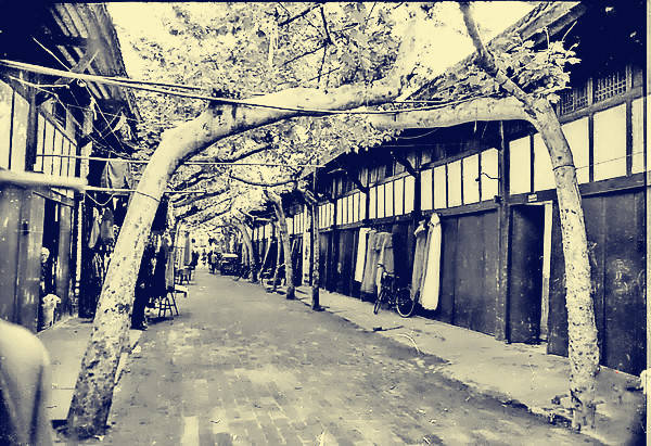 安徽界首一组老照片记录了界首几十年的风雨路程