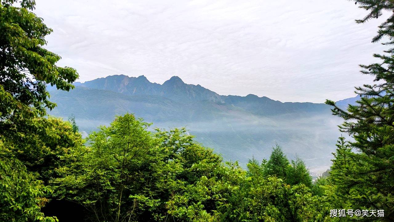 驴友一人冒险进入绵竹云湖森林公园徒步小道差点消失于深山