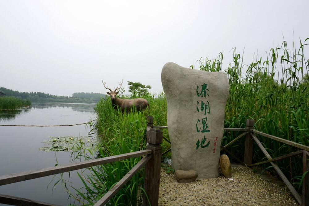 泰州|溱湖国家湿地公园