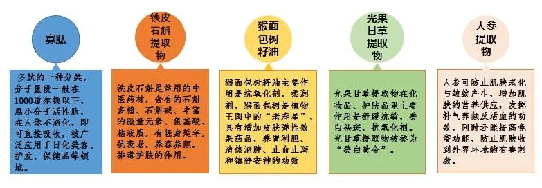 植物|就是“这条线”！成为暴露你年龄的“突破口”