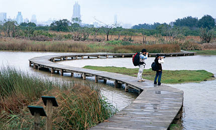 香港湿地公园美景