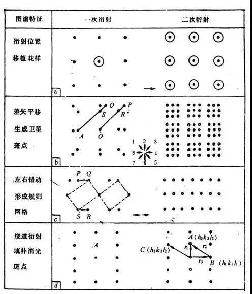 菊池花样图片