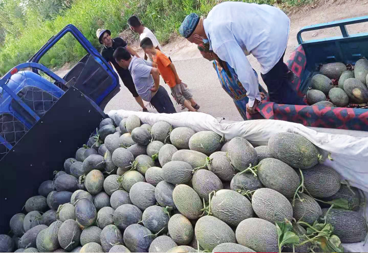 电商助力产销对接 网上卖伽师瓜真方便_伽师县