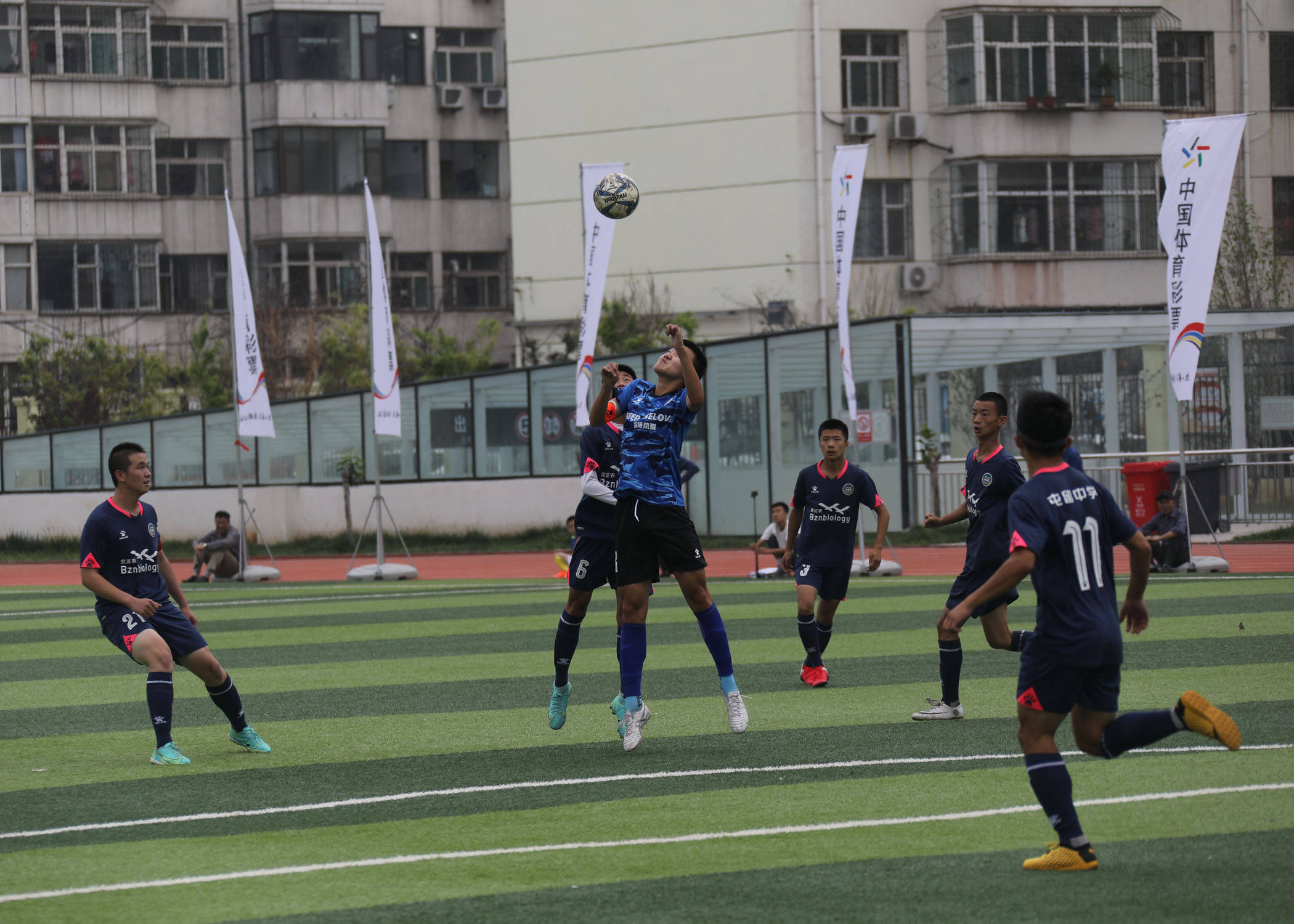 体校排名_体校少年跳水训练图片(3)