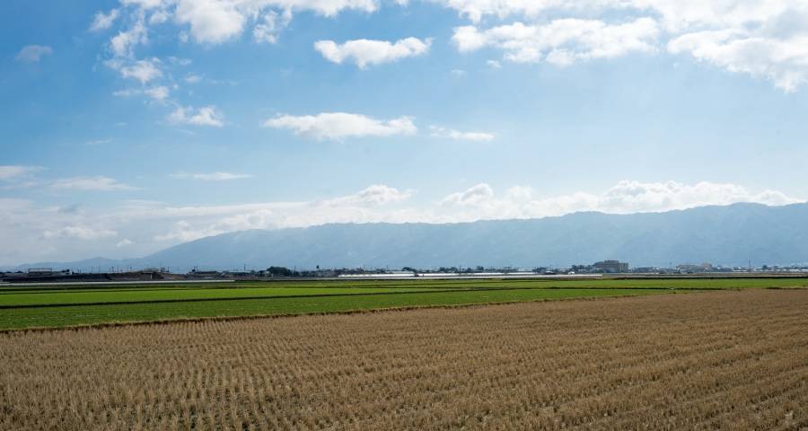 家电业上演蚂蚁大象共舞，海信长虹格力方太松下京东风起云涌-家电圈官网