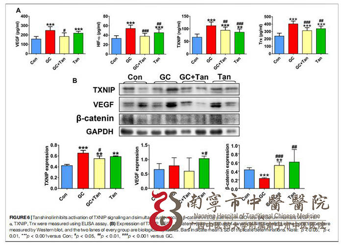 期刊|南宁市中医医院：中药研究新进展 “丹参素”可改善糖皮质激素性骨质疏松