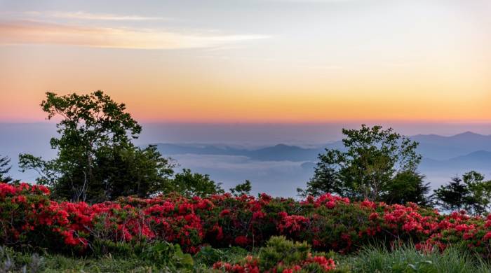 都说今年空调业很惨,海尔智家却交出不一样的答卷!为什么?-家电圈官网