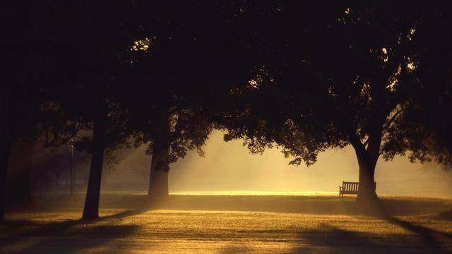 如何才能长久相守 18ab14c34c104f8d98c5d4c609dd7416.jpeg