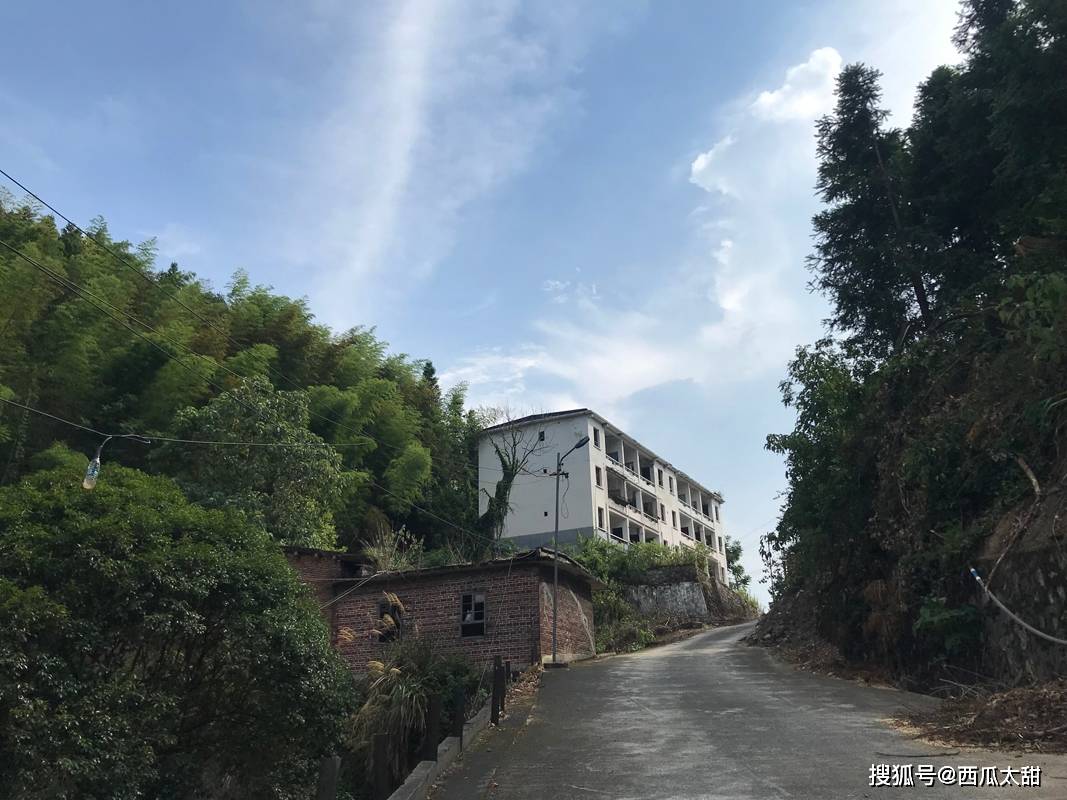 文章配图-20