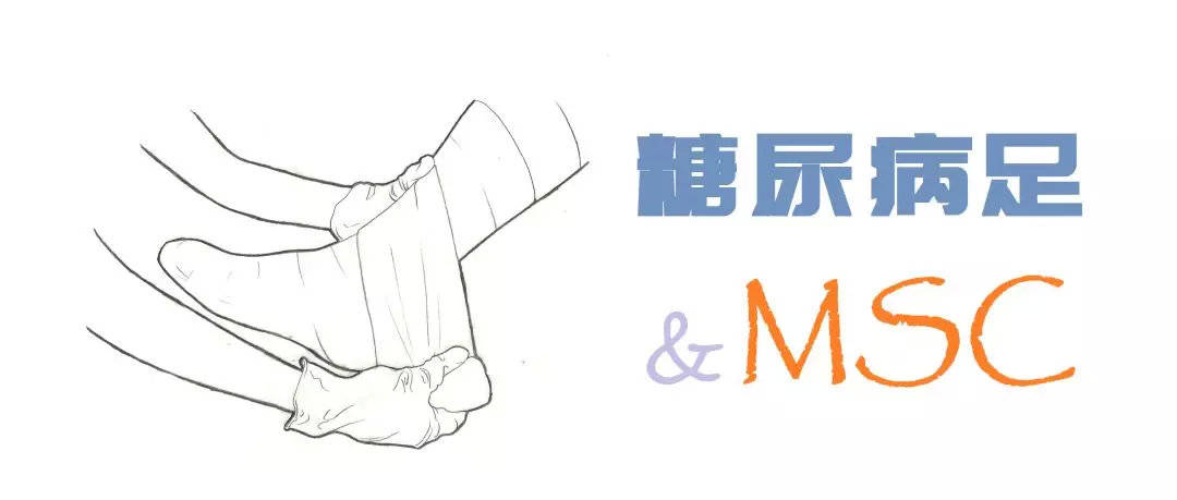 糖尿病足已成为全球非创伤性截肢的主要原因,占截肢类型的85%;据中国