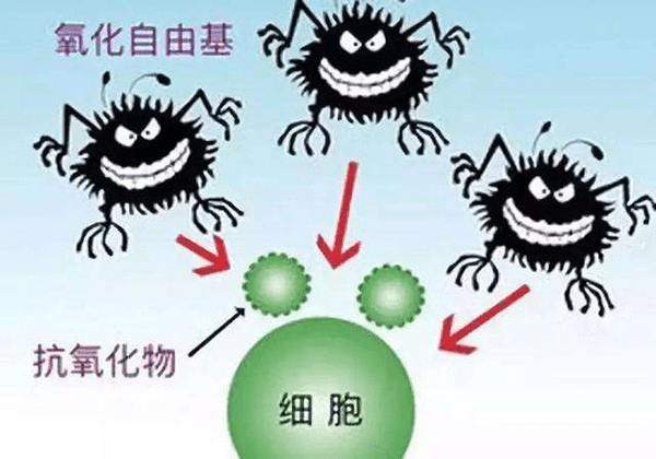 人体|吴锦威：消除自由基伤害的护肤方式