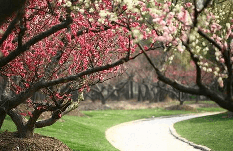 8月13日开始 好运傍身的4星座 事业拨开云日 抓好机遇 红红火火 微头条