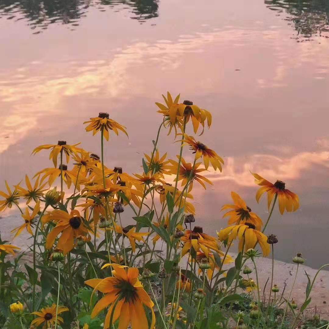 衷心祝福|好消息！北京的幼儿园如期开园开学，开园后实行封闭管理