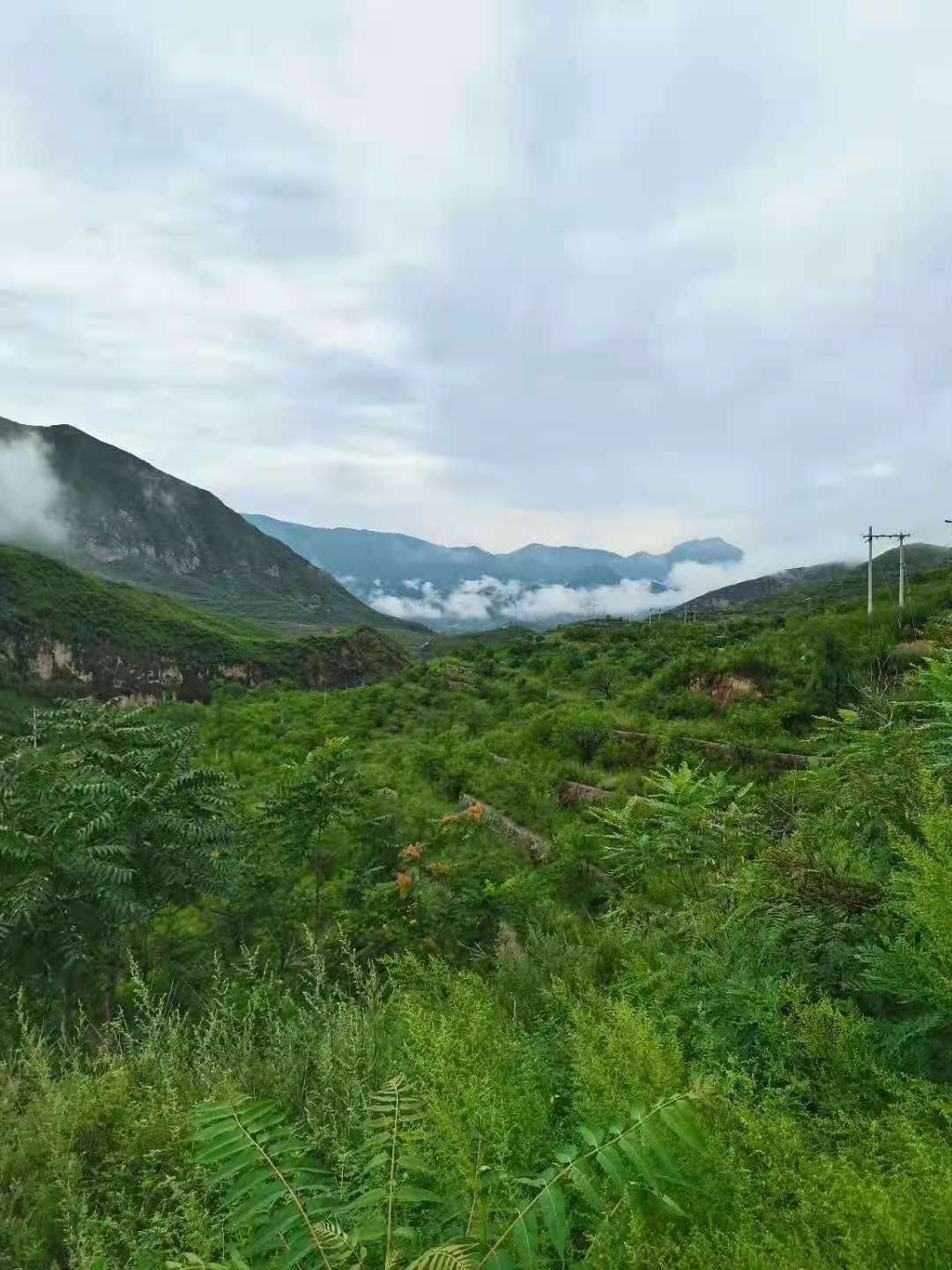 衷心祝福|好消息！北京的幼儿园如期开园开学，开园后实行封闭管理