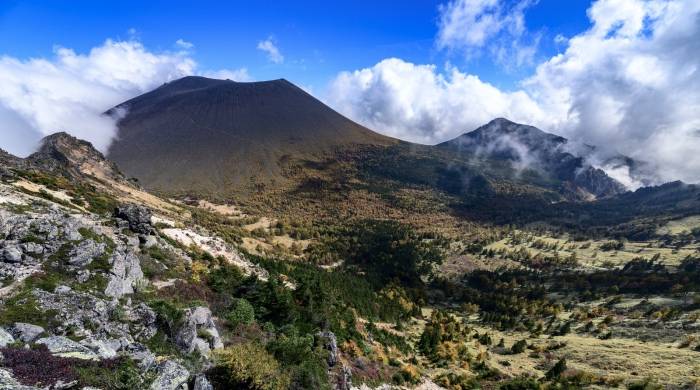 家电企业的场景化与生态化转型,不能抛弃产品根基-家电圈官网