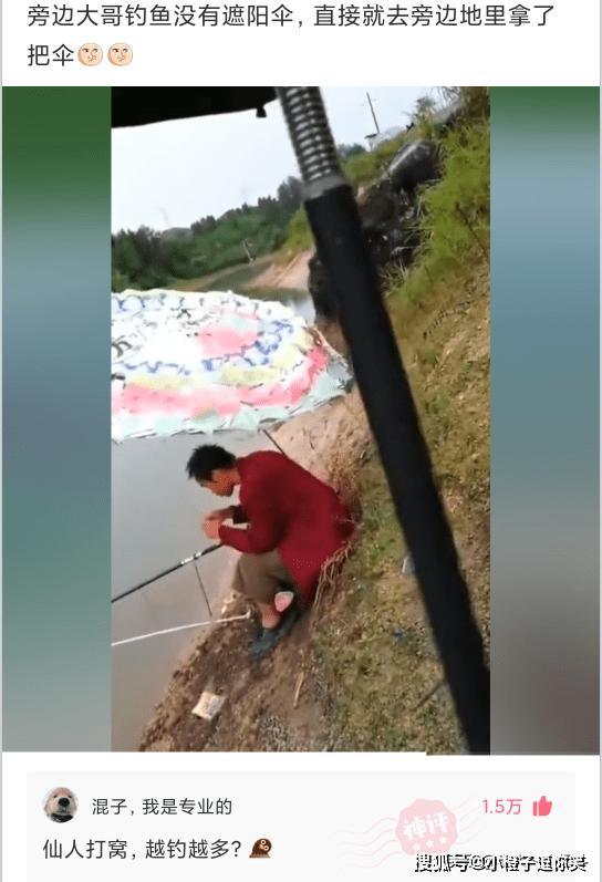 爆笑第4期：那些意想不到的大神評論。 搞笑整蠱 第10张