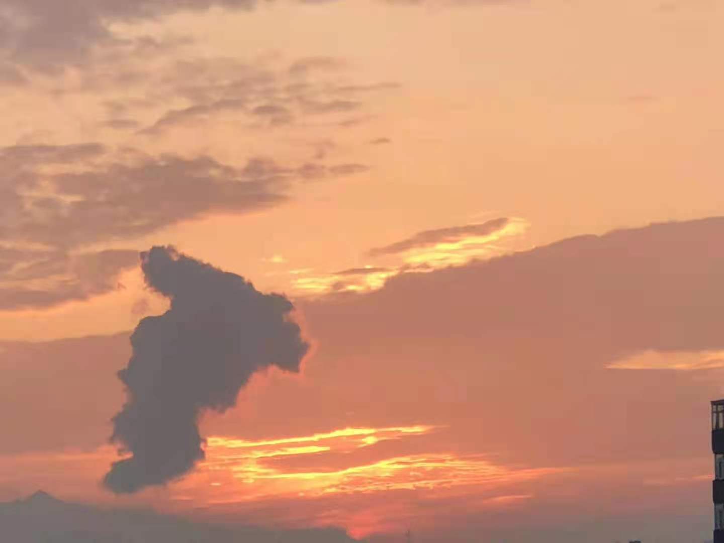 排名榜|幼儿园排行榜，真得香吗？